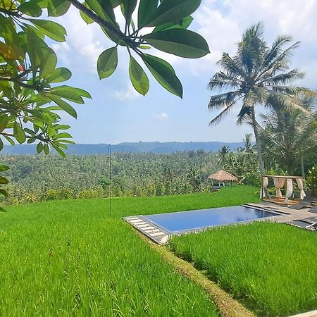 Bali De Pardis Cottage Munduk  Exterior photo